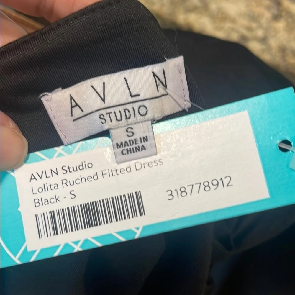 Avln Studio (Stitch Fix) Lolita Ruched Fitted Dress